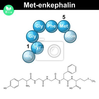 Plakat Chemiczny wzór strukturalny i model cytozyny na wymiar element