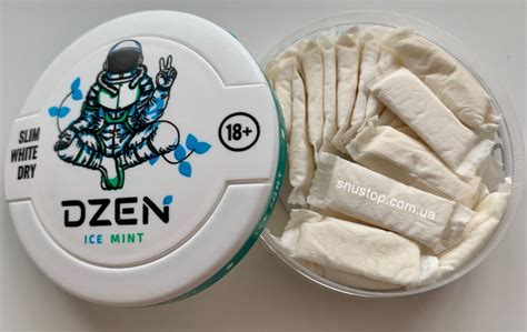 Снюс Dzen ice Mint