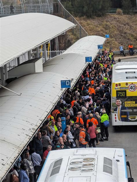Major train delays as tree falls at St Marys • The Western Weekender