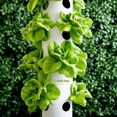 How To Make DIY Aeroponic Tower Garden At Home