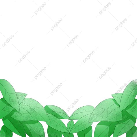 Hojas Png Material De La Hoja Borde De La Hoja Material Png Y Psd