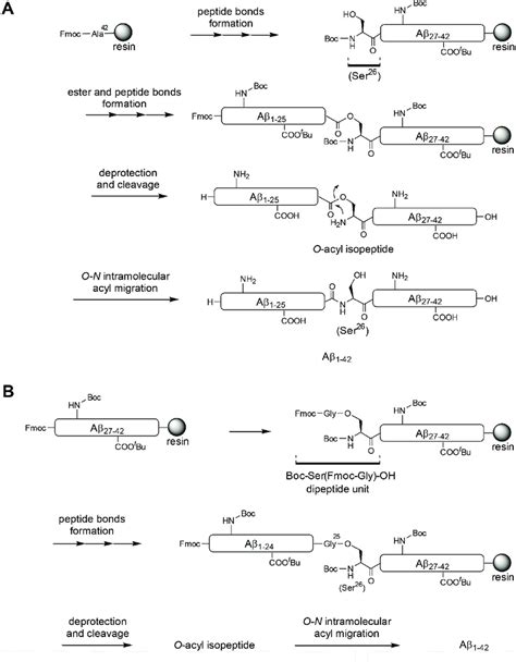 O Isoacylpeptide Method A Aβ 1 42 Synthesis Via O N Intramolecular