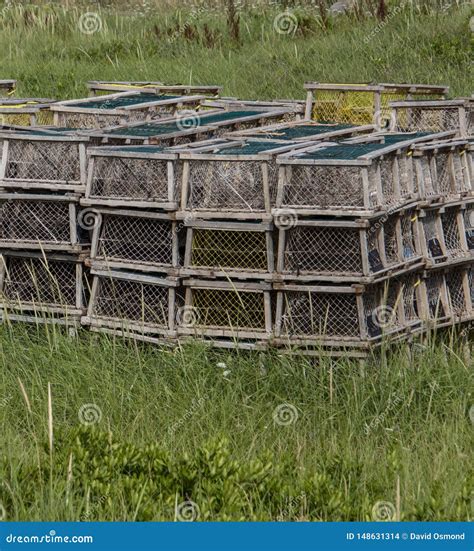 Stack Of Lobster Traps Royalty-Free Stock Image | CartoonDealer.com