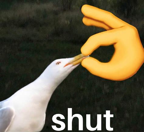 Is This A Bird Meme Generator - Captions Beautiful