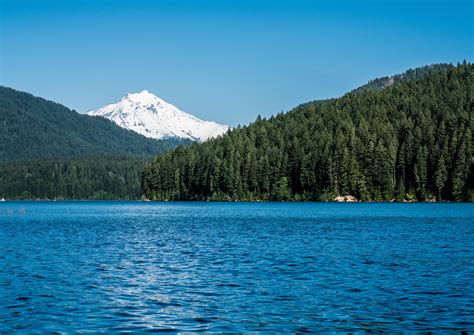 Mount Jefferson From Detroit Lake Oregon May 2019 Oc 5217x3696 R