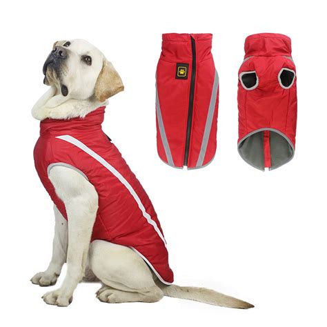 Do Dogs Need Coats In Cold Weather