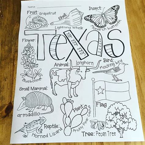 A Little Texas Symbol Coloring For When We Return This Is Part Of An