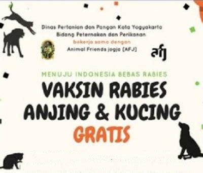 Harga Vaksin Kucing Di Klinik Kerajaan Panduan Memandulkan