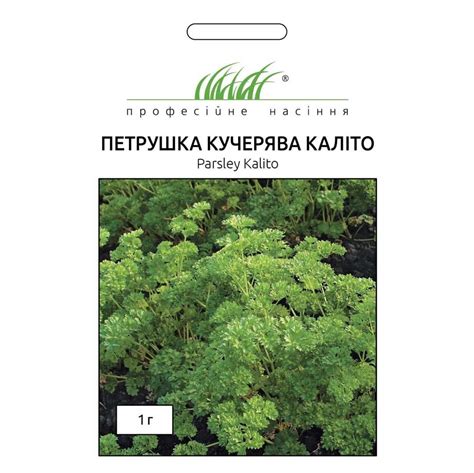 Купить семена Петрушки кудрявой Калито Цена, фото, описание, отзывы ...