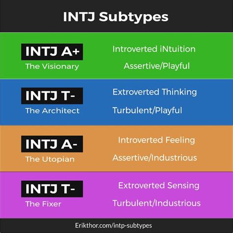 INTJ Subtypes I INTJ Cognitive Functions Erik Thor S Flow Types Intj