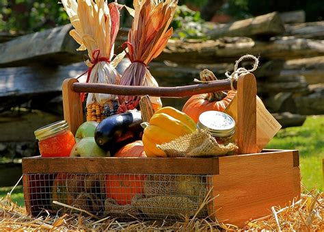 Gardening Basket Fruit Basket Vegetable Gathering Harvesting Etsy