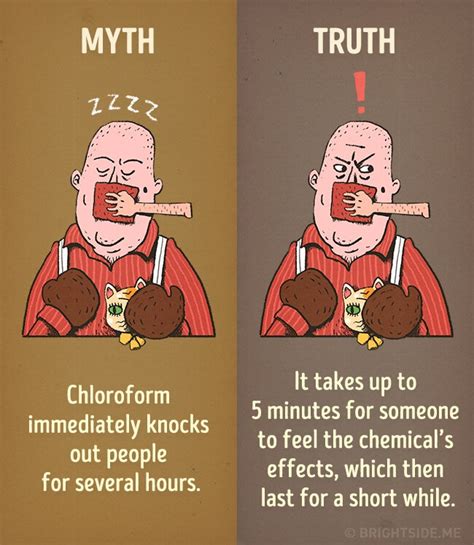 44 Myth Vs Reality Illustrations That Will Make You Think For A Change