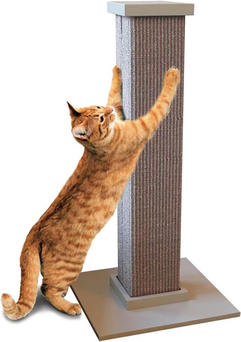 Amazon SmartCat Ultimate Scratching Post Gray Large 32 Inch