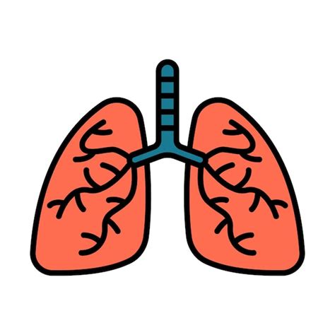 Premium Vector Lungs Line Icon Respiratory System Human Organ Medical