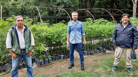 Vivero Municipal Intenso Trabajo De Siembra De Especies Nativas El