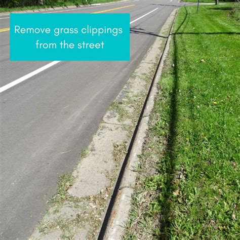 Remove Grass Clippings From The Street Adopt A Drain Wa Flickr