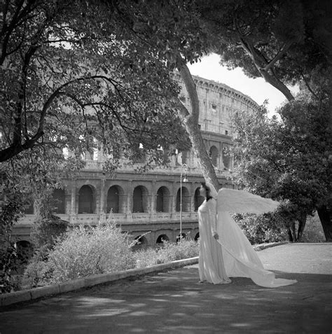 Looking Beyond Photograph By Robert Klemm Fine Art America