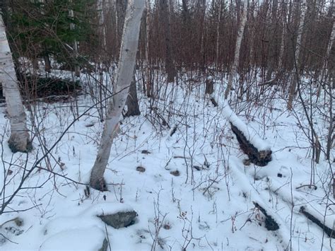 27 Acres Vacant Land For Sale In Temiskaming Shores Land For Sale