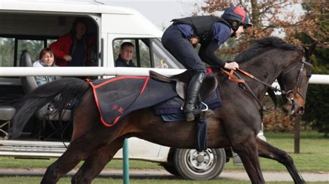 Home Careers In Racing