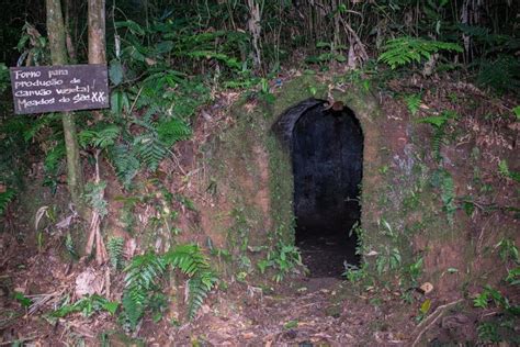 Trilha privada pela Mata Atlántica e Fazenda Maravilha saindo de São Paulo