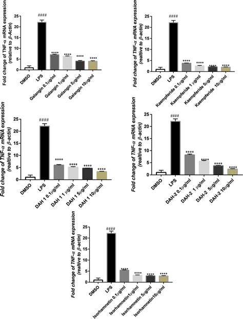 Attenuated tumor necrosis factor alpha TNF α induced expression by 1