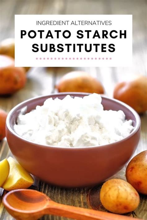 10 Best Potato Starch Substitutes Theeatdown