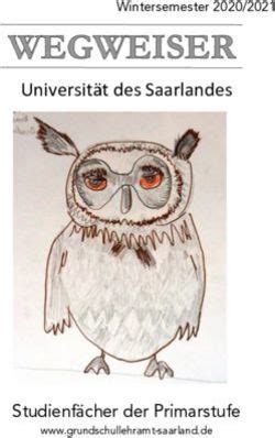 Universität des Saarlandes Studienfächer der Primarstufe