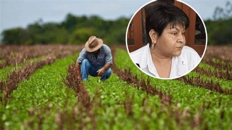 Migración deja el campo veracruzano en el abandono