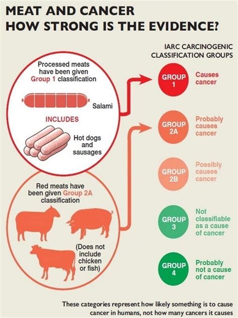 Who Food Report No Need To Avoid Red Meat Says Fsai