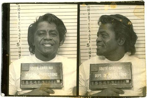 The Greatest Hits James Brown Celebrity Mugshots Mug Shots