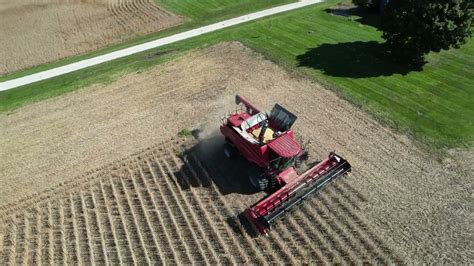 Soybean Harvest 4K YouTube