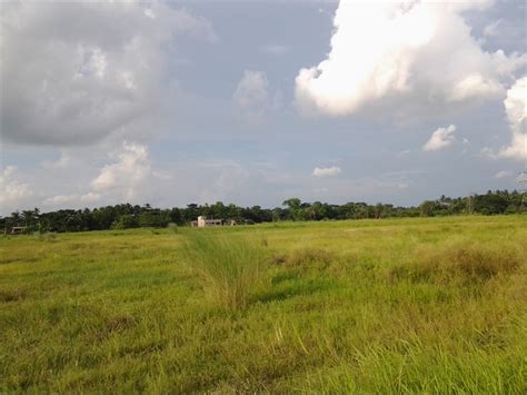 Residential Plot Land For Sale In Pailan New Town Joka Kolkata