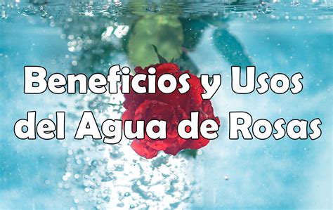 El Agua De Rosas Tiene Multiples Beneficios Para La Piel Entra Y