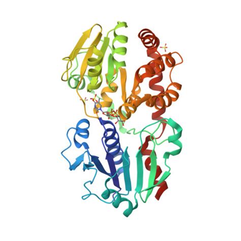 Rcsb Pdb Vch Crystal Structure Of Neisseria Meningitidis Earp Bound