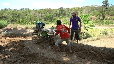 Kerja Keras Traktor Sawah Bekerja Membajak Tanah Kering Lahan Tegalan