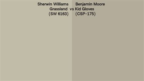 Sherwin Williams Grassland SW 6163 Vs Benjamin Moore Kid Gloves CSP