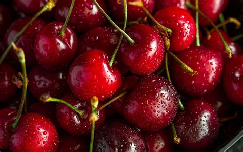 Cherry Fruit Wallpapers Top Free Cherry Fruit Backgrounds