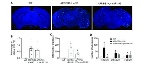 Mir 195 Reduces Aβ Plaques In The Brain Of App Ps1 Mice A