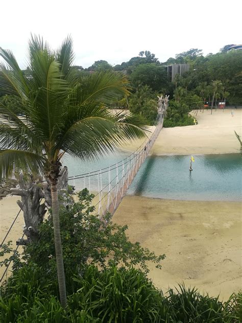 Palawan Beach, Sentosa Singapore Travel, Palawan, Travel Tips, River ...