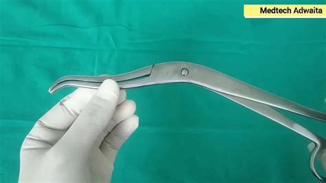 Silver Stainless Steel Cheatle Sterilization Forceps at Rs 410/piece in ...