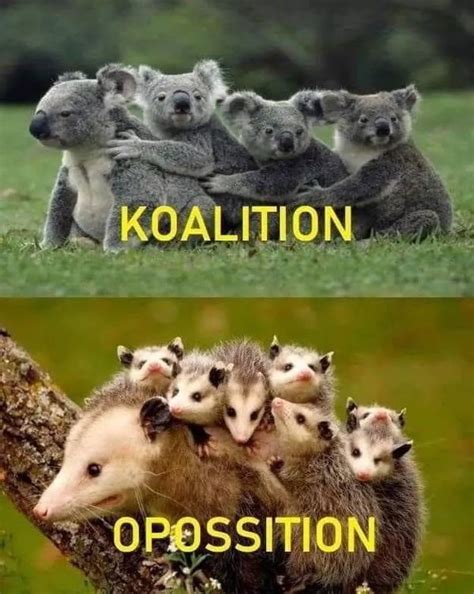 Politics Puns