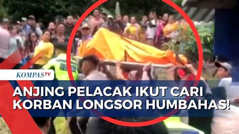 Alat Berat Hingga Anjing Pelacak Diturunkan Untuk Cari Korban Longsor