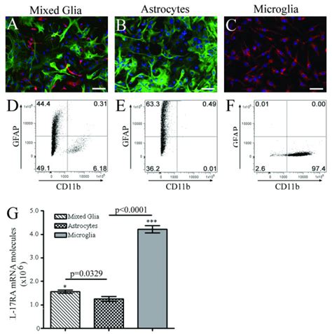 Il 17ra Expression In Astrocytes And Microglia In Vitro A C