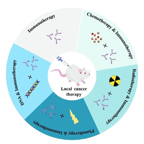 Common Combined Immunotherapy Strategies For Local Cancer Treatment Download Scientific Diagram