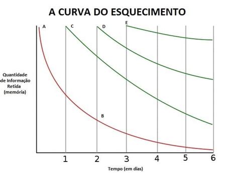 Curva Do Esquecimento Entenda Como Memorizar Melhor O Conteúdo Oedital