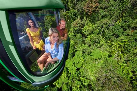 Skyrail Train One Way Cairns Pick Up