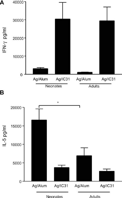 Figure 1 From Adult Like Anti Mycobacterial T Cell And In Vivo