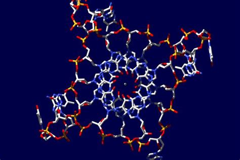 Scientists discover quadruple-helix DNA that could prove valuable in ...