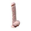 Skinsations T Rex Inch Dildo Shop Male Q