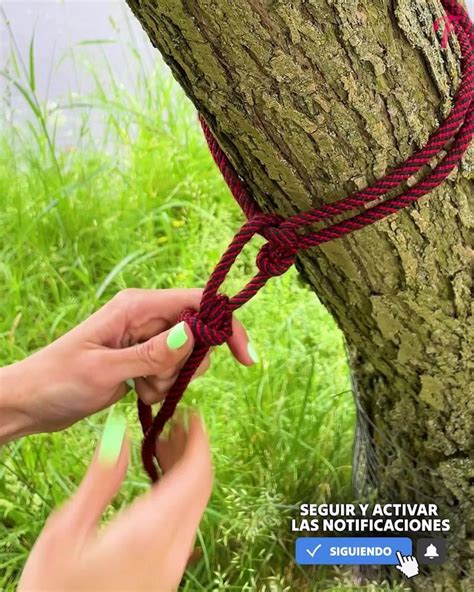 Gu A Paso A Paso Sencilla Para Hacer Un Nudo De Seguridad En Un Rbol